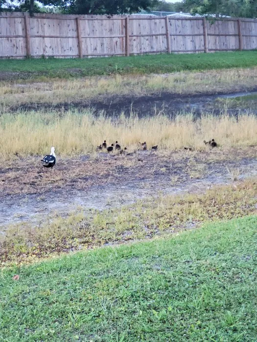 Central Leisure Lake Mobile Home & RV Park Picture 6