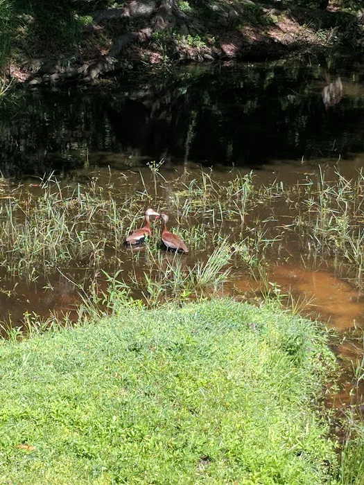 Central Leisure Lake Mobile Home & RV Park Picture 5