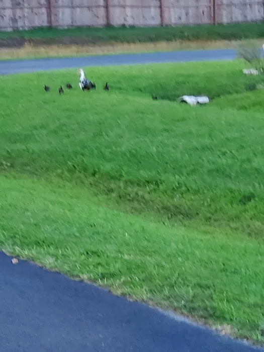 Central Leisure Lake Mobile Home & RV Park Picture 10