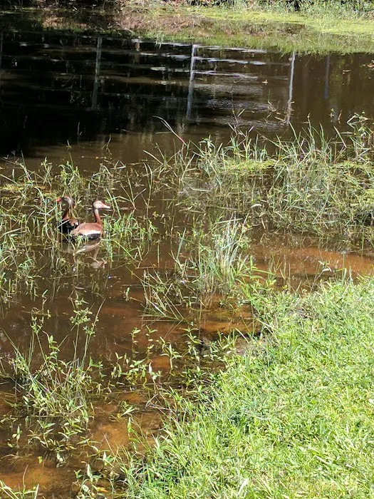 Central Leisure Lake Mobile Home & RV Park Picture 8