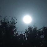 Big Oaks Long Term RV Park