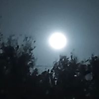 Big Oaks Long Term RV Park ico