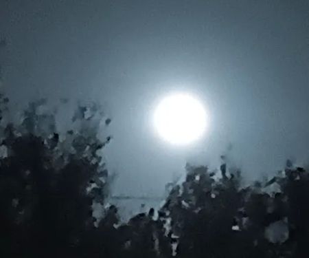 Big Oaks Long Term RV Park