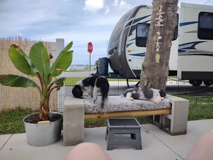 Palm Shores RV Park Picture 3