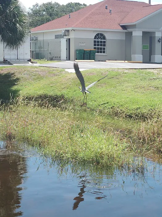 Mobiland by the Sea Picture 2