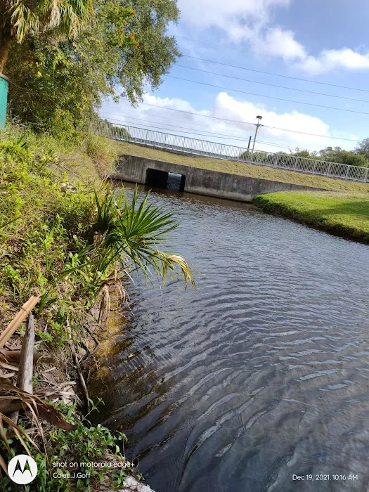 Mobiland by the Sea Picture 3