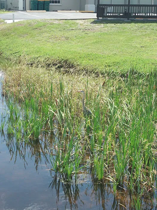 Mobiland by the Sea Picture 6