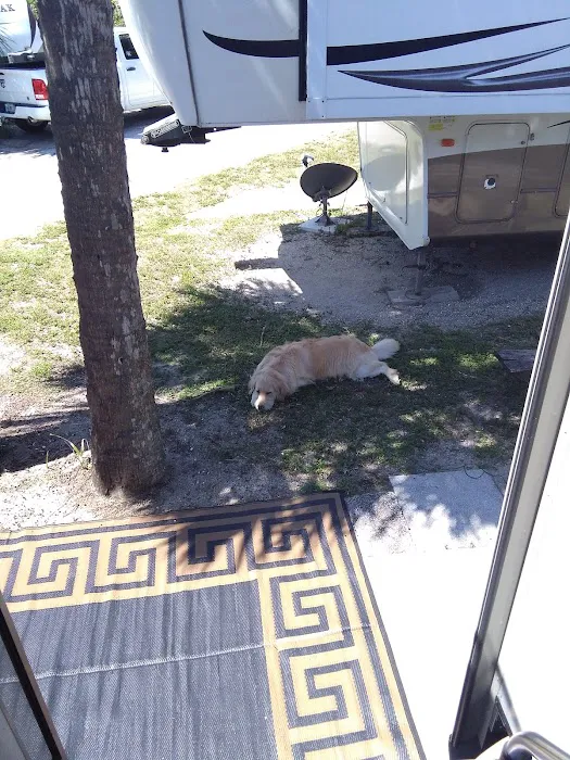 Ocean View RV & Mobile Home Court Picture 6