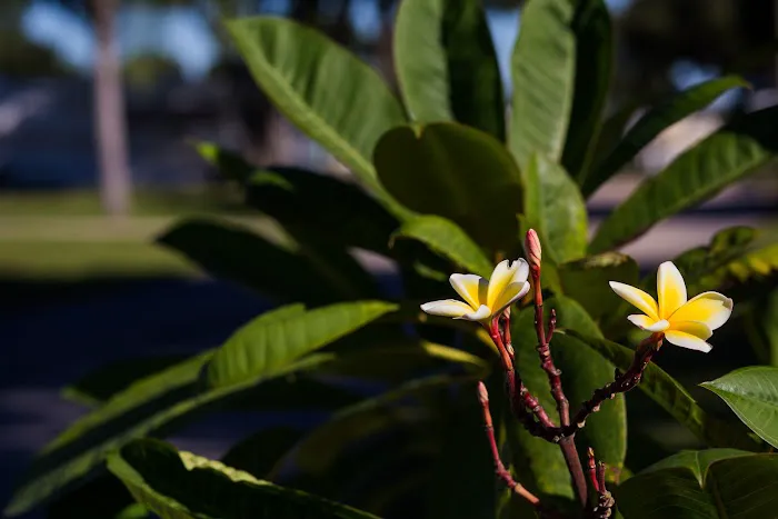 Clearwater Travel Resort Picture 6