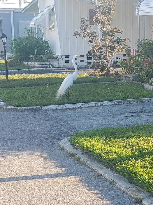 Glen Ellen Picture 4