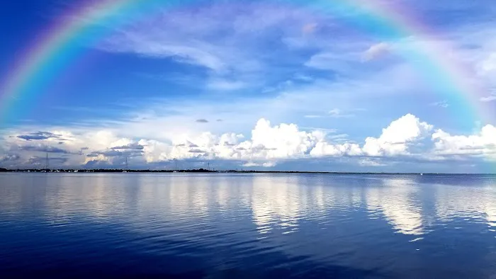 Bay West Club Picture 6