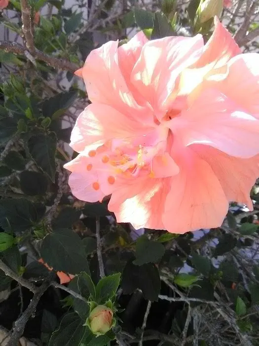 Bay West Club Picture 9