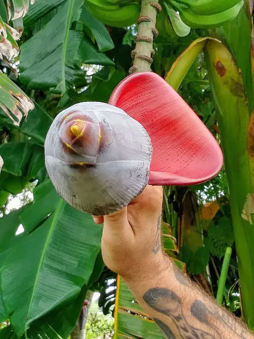 Lake Fox Village Picture 6