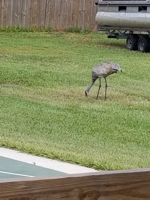 Lake Fox Village Picture 5