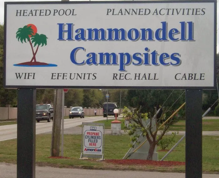 Hammondell Campsites And RV Park Picture 5
