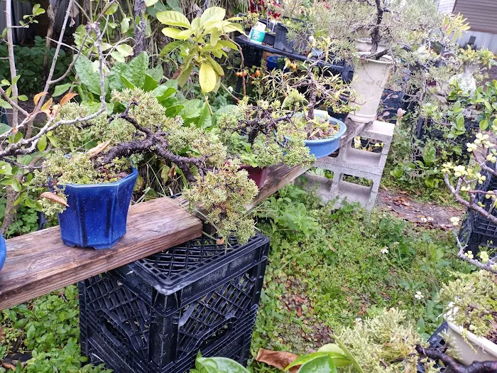 Enchanted Grove Mobile Home Picture 2