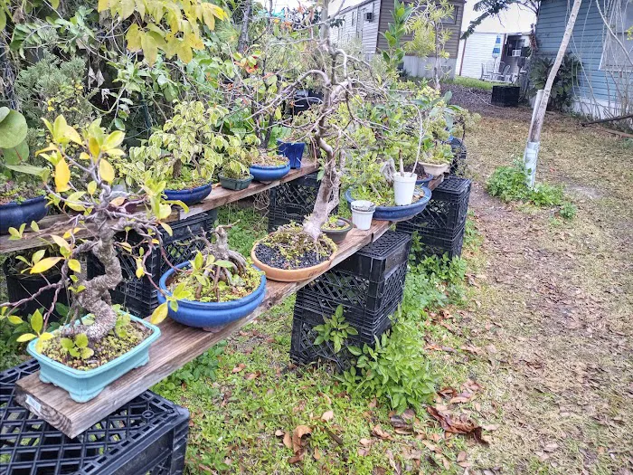 Enchanted Grove Mobile Home Picture 7