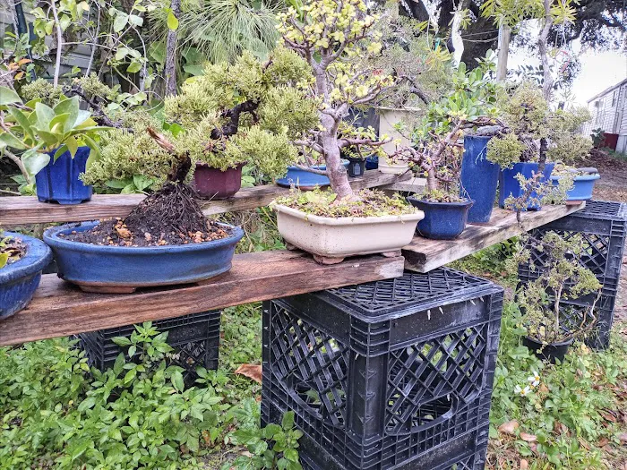 Enchanted Grove Mobile Home Picture 8
