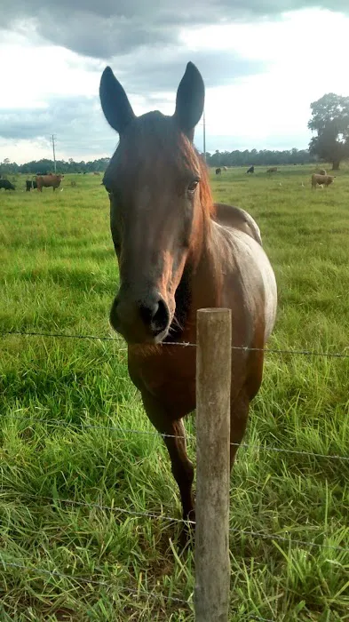 Bullock's Landing Picture 1