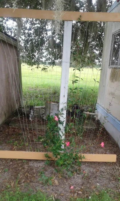 Bullock's Landing Picture 3