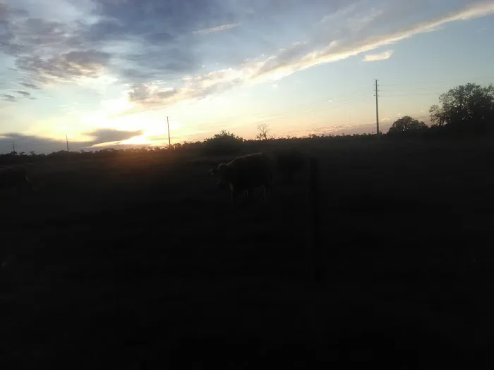 Bullock's Landing Picture 10