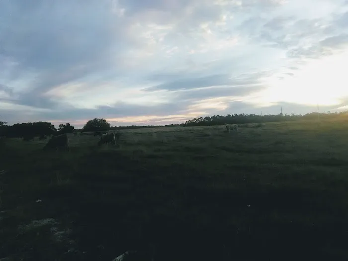 Bullock's Landing Picture 9