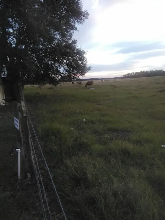 Bullock's Landing Picture 6