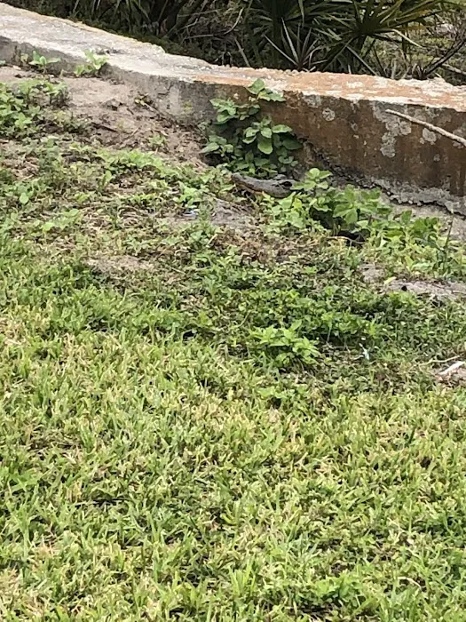 Peace River Village Picture 2