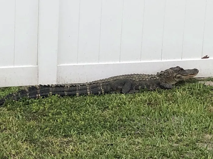 Peace River Village Picture 7