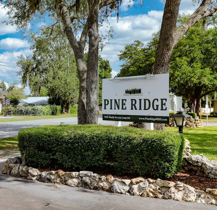 Pine Ridge Estates Picture 9