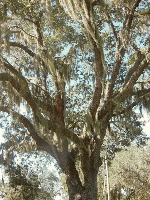 Pine Ridge Estates Picture 10