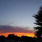 Taranto Management Associates