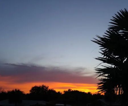 Taranto Management Associates