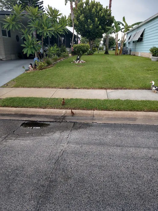 Lakewood Village Picture 2