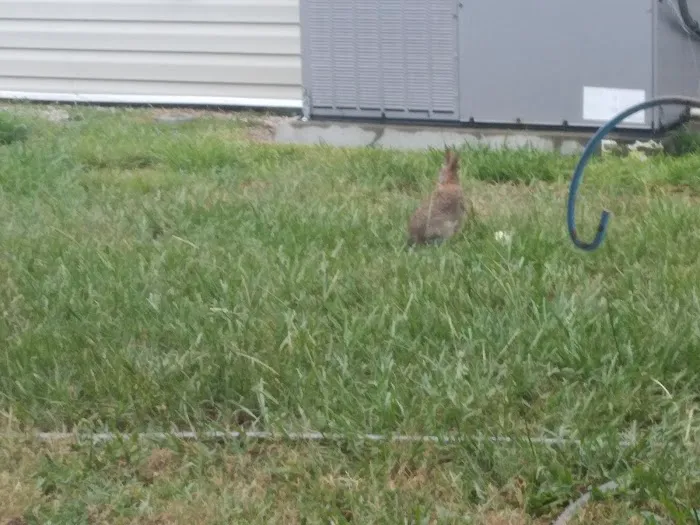 Lakewood Village Picture 9