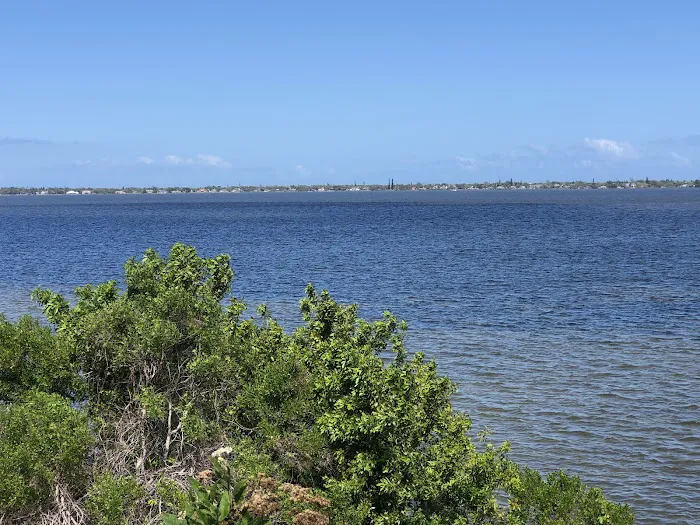 Palm Bay Park Mobile Home & RV Park Picture 7