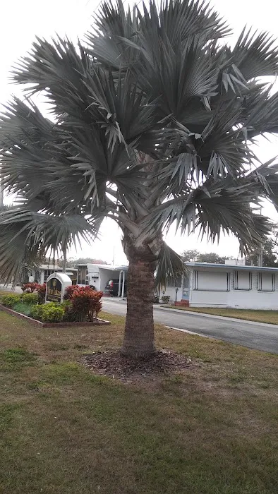 Hillcrest - Florida Picture 5