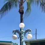 Far Horizon Mobile Home Park