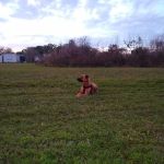 Coach Mobile Home Park