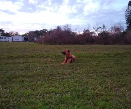 Coach Mobile Home Park