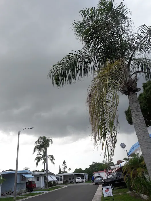 Eldorado Village Picture 5