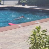 Palm Bay Estates ico