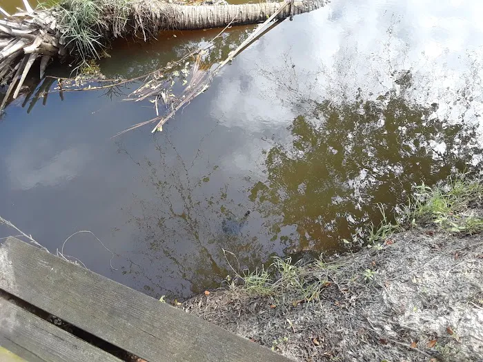 Palm Bay Estates Picture 8