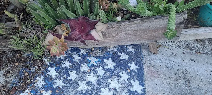 Sun Manor Mobile home park Picture 4