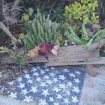 Sun Manor Mobile home park