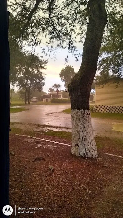 Sun Manor Mobile home park Picture 7
