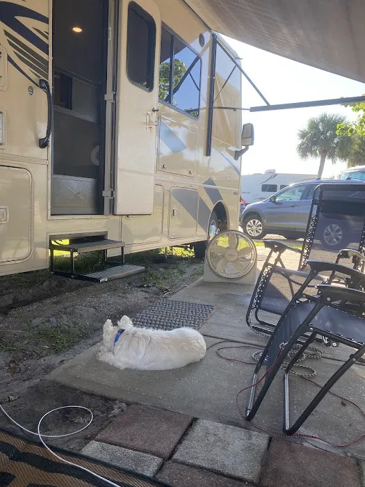 Breezy Palms RV Park Picture 1
