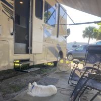 Breezy Palms RV Park ico