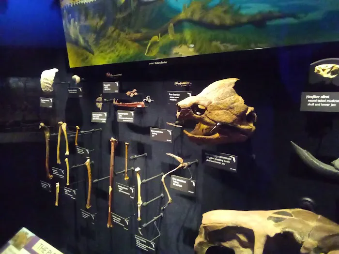 Palm Hill Country Club Picture 10