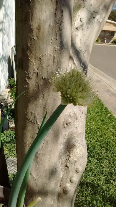 SUGAR CREEK MANUFACTURED HOME COMMUNITY Picture 7